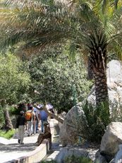 296 Ain al Kasfah,  Falasch=Levada.JPG